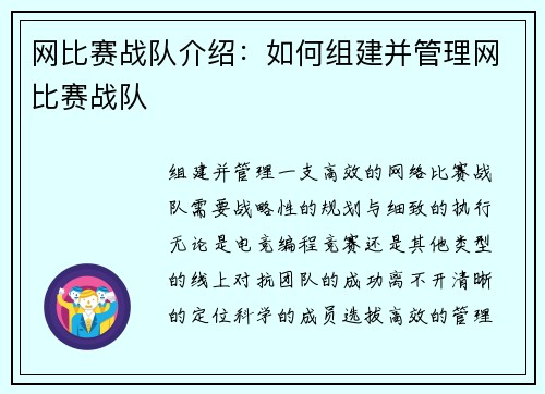 网比赛战队介绍：如何组建并管理网比赛战队