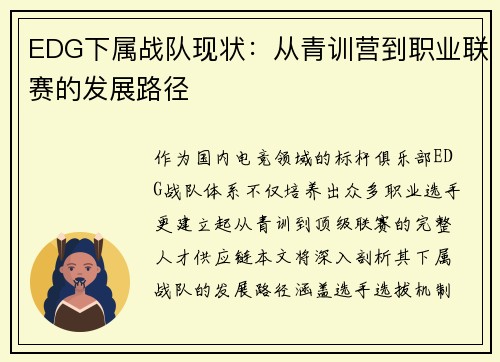 EDG下属战队现状：从青训营到职业联赛的发展路径