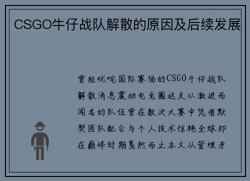 CSGO牛仔战队解散的原因及后续发展
